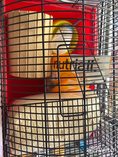 Клетка для грызунов