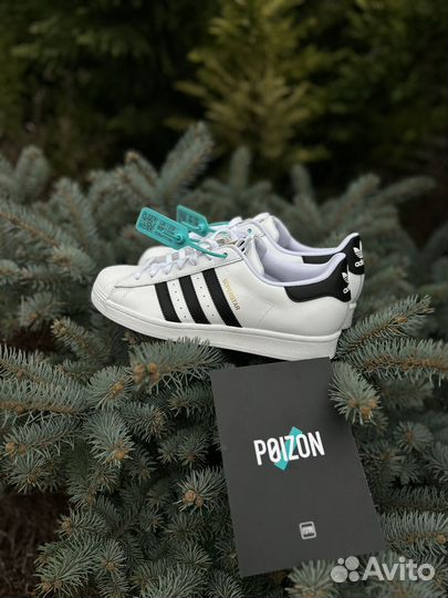 Adidas superstar оригинал