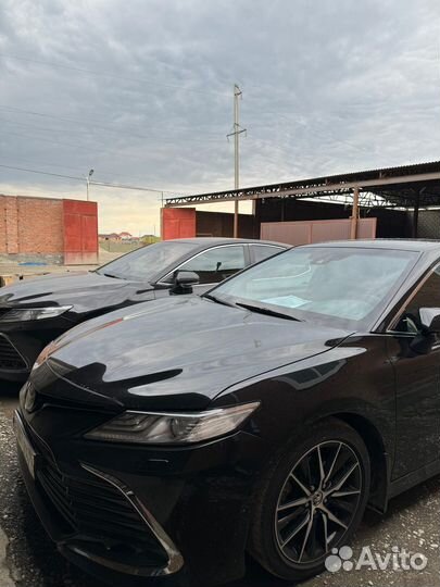 Двойные стекла тонировка camry 70-75