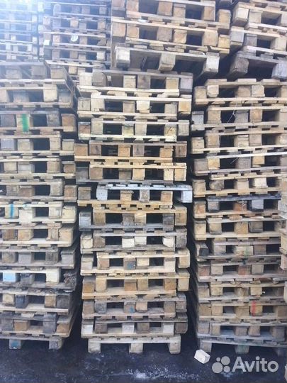 Поддоны Пушкино