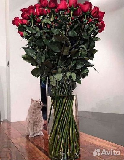 Высокие розы 150 160 170 180 190см доставка Москва