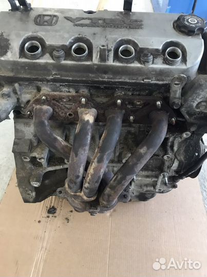 Двигатель F18B2 Хонда Аккорд (1059)