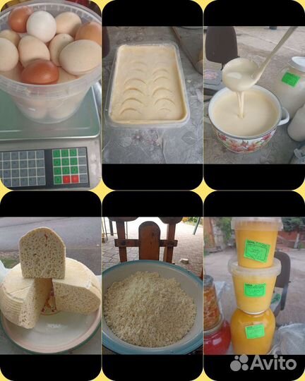 Сыр домашний, яйца,масло сливочное, сметана