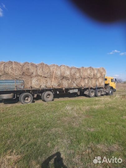 Сено луговое