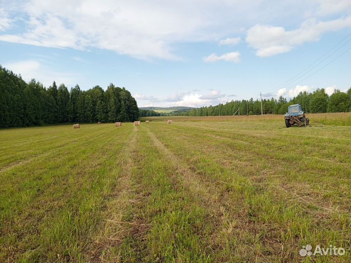 Продам сено в рулонах