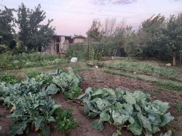 Участок 9 сот. (СНТ, ДНП)