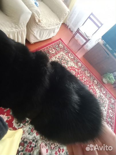 Шуба мутон норка