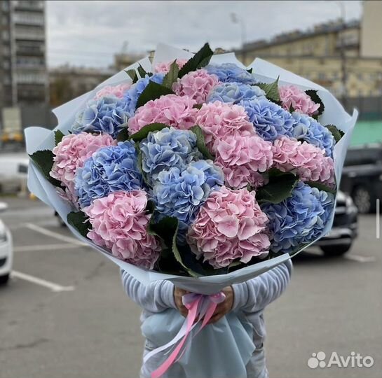 Гортензия Доставка Цветов Симферополь