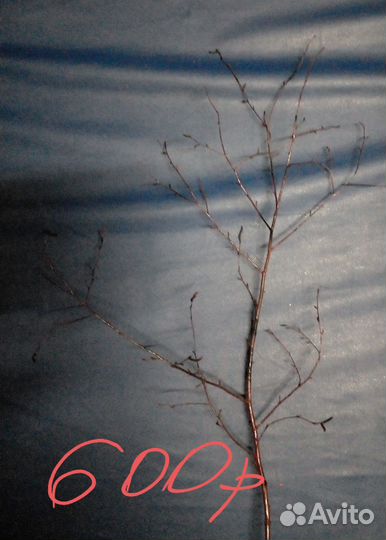 Декор для интерьера