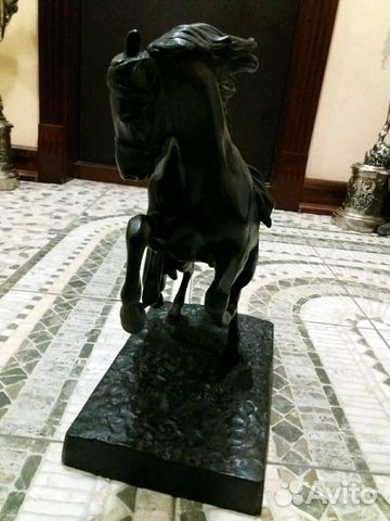 З.д. Касли конь