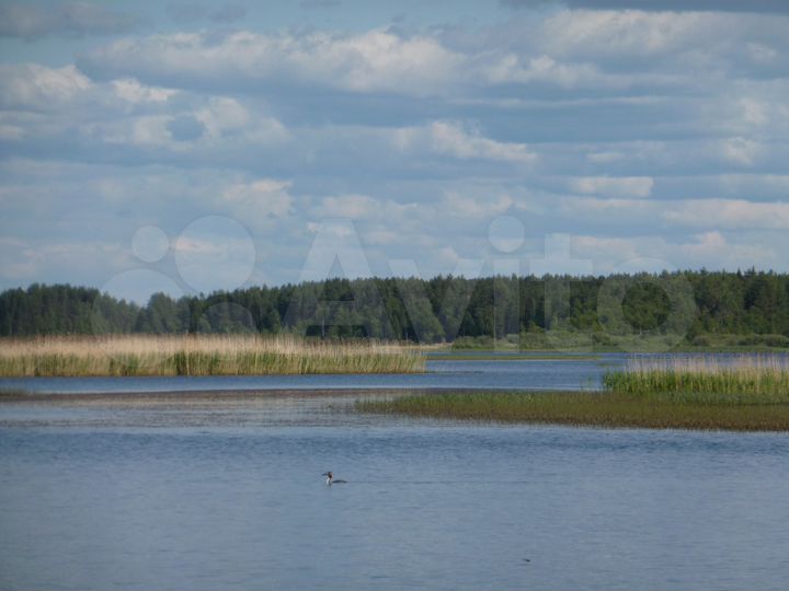 Участок 18 сот. (ИЖС)