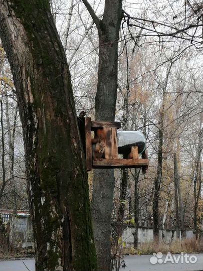 Кормушка для птиц и белок