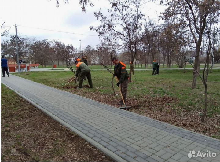 Ищу партнера. 60 годовых. Готовый бизнес