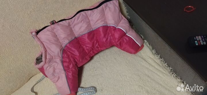 Одежда для собак средних пород