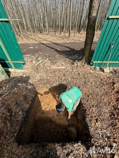 Септики Далос