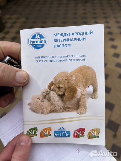 Немецкая овчарка вязка