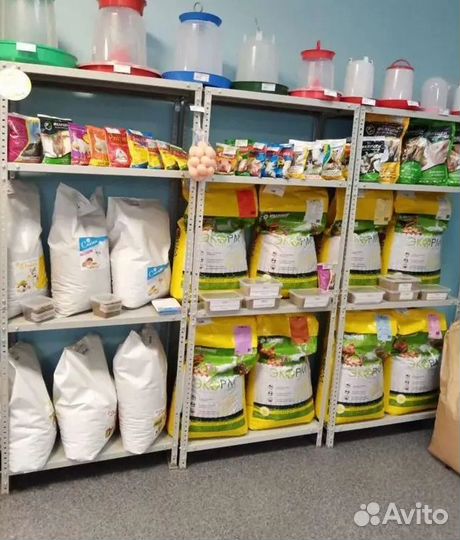 Комбикорм для кур-несушек от производителя