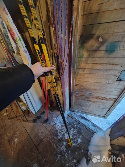 Беговые лыжи Tisa top