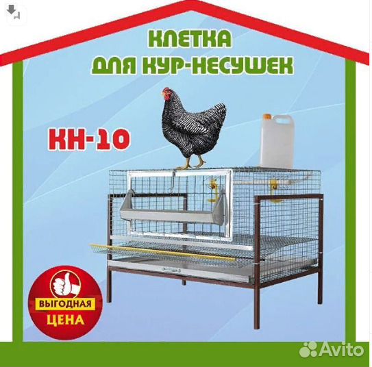 Клетка для кур несушек