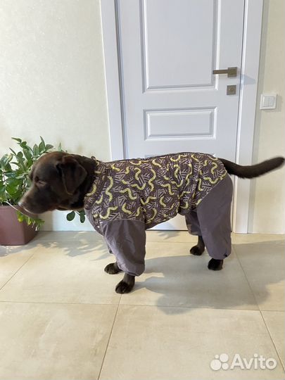 Комбинезон для крупной собаки