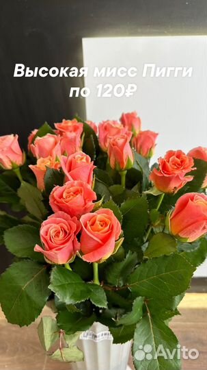 Крымские розы