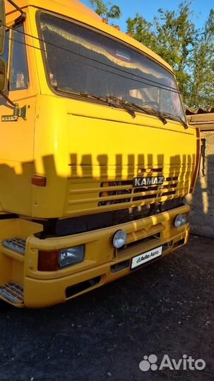 КАМАЗ 65116, 2010