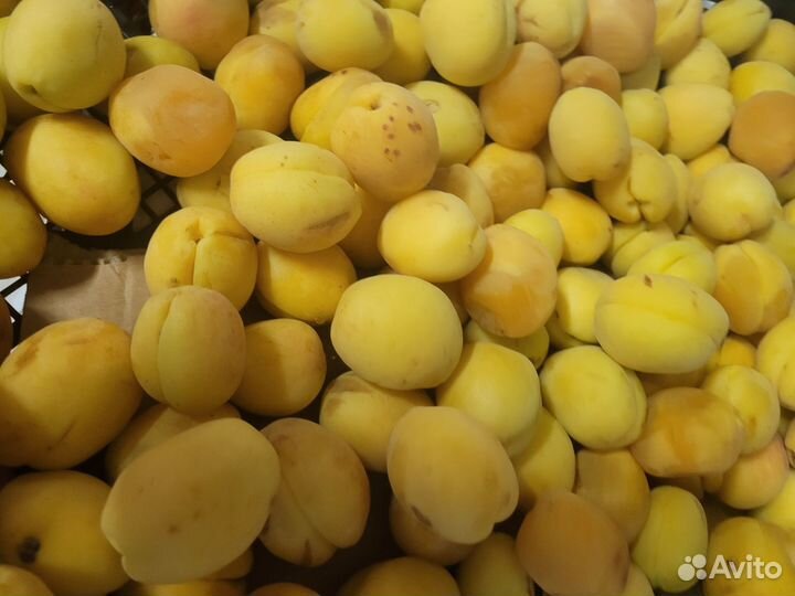 Продукты на корм животным