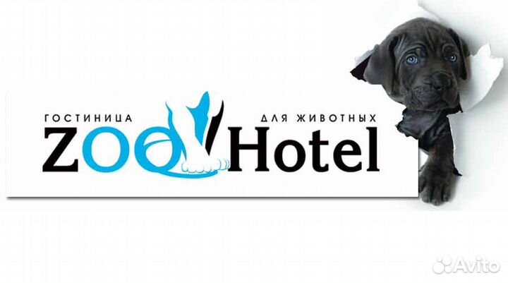 Передержка собак и других домашних животных в туле