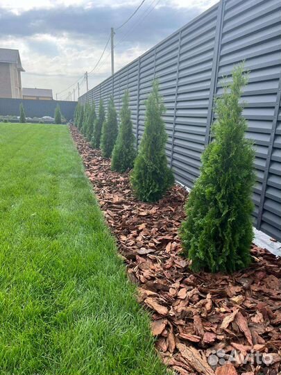 Мульча Кора лиственницы Вермикулит