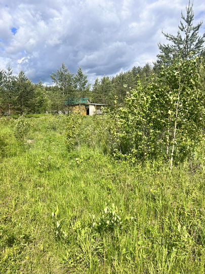 Участок 10 сот. (СНТ, ДНП)