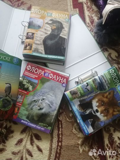 Журналы флора и фауна