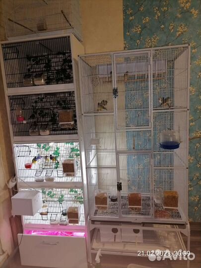 Клетка Triol 5005 81х47х176см