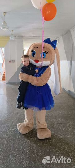 Экспресс поздравления