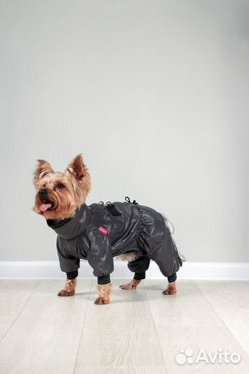 Одежда для собак