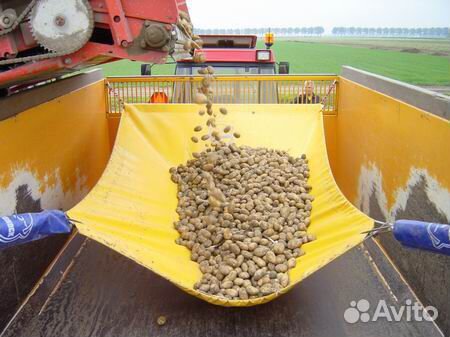 Стоп шок - сохрани урожай