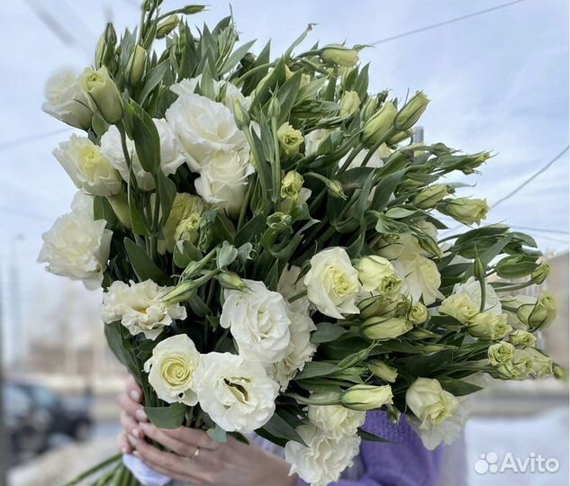 Эустома лизиантус