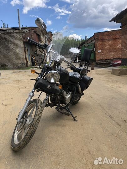 Wels Despot (Harley New )