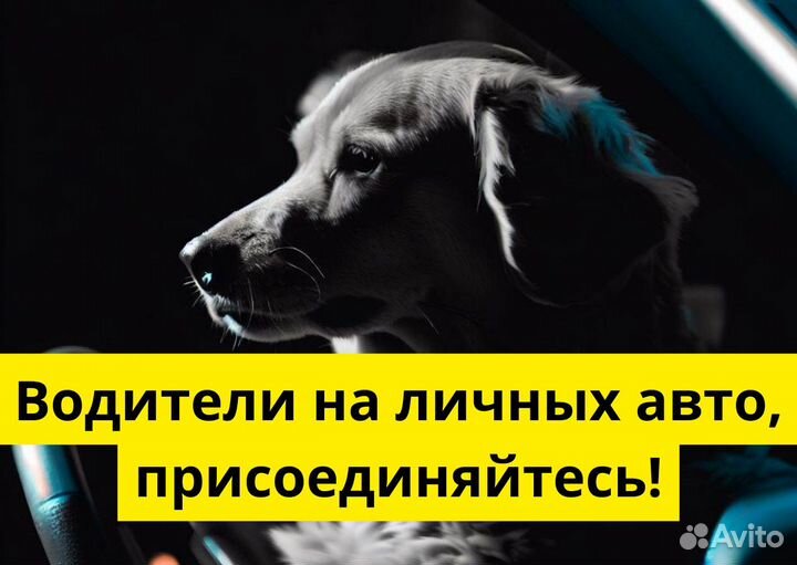 Ваш т/с – ваша работа в Яндекс Go