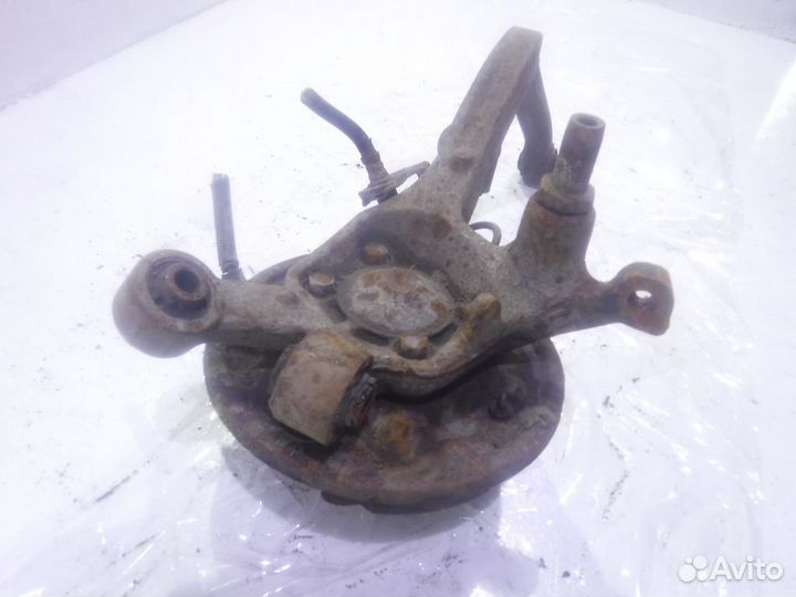 Кулак задний правый