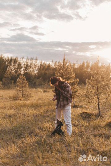 Кинолог/Хендлинг/Дерессировка собак