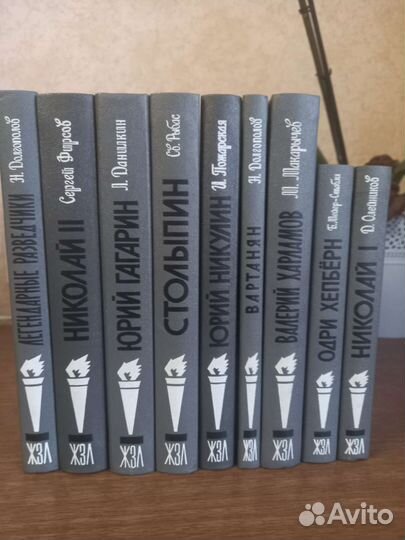 Книги жзл современные