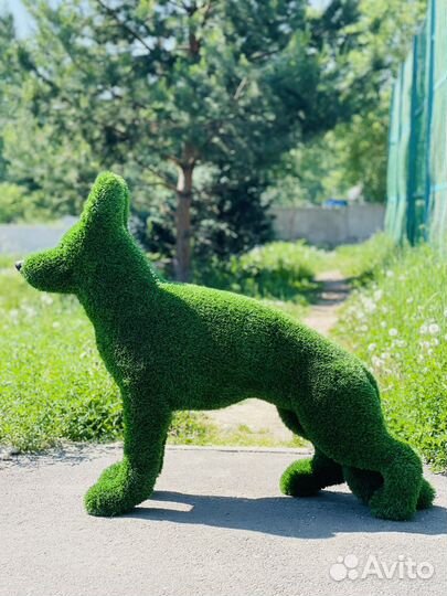 Фигура топиари, Немецкая овчарка