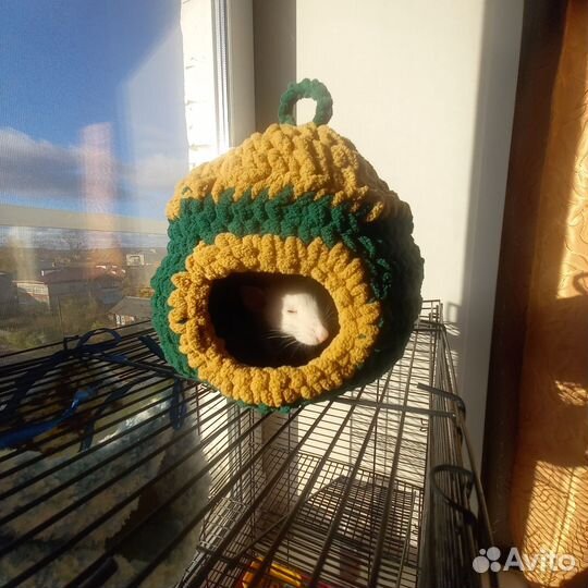 Гамак для крыс