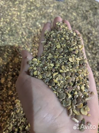 Корм для животных