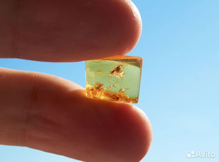 Натуральный балтийский янтарь с включением комара