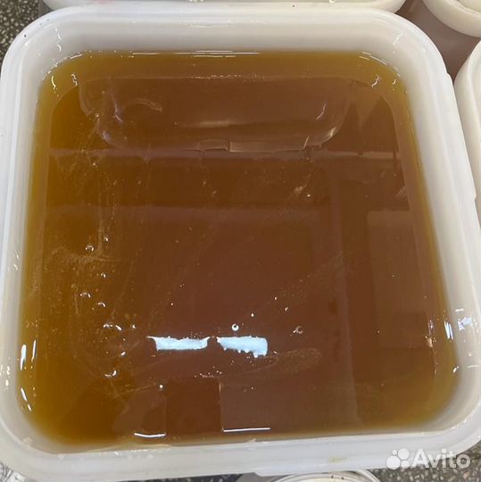 Натуральный мёд липовый. 2023 г. Опт