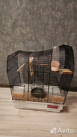 Амадины с клеткой