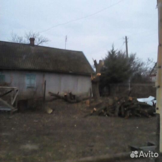 Спил деревьев.Разбор строений,покос травы