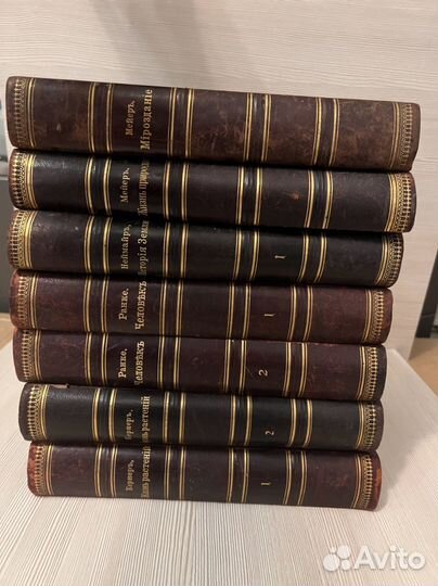 Антикварные книги 1903