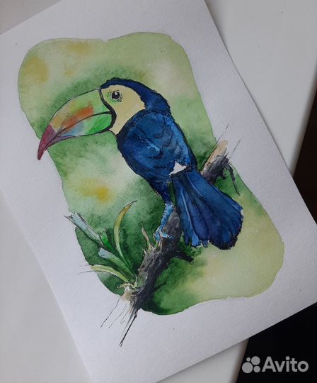 Тукан,акварель
